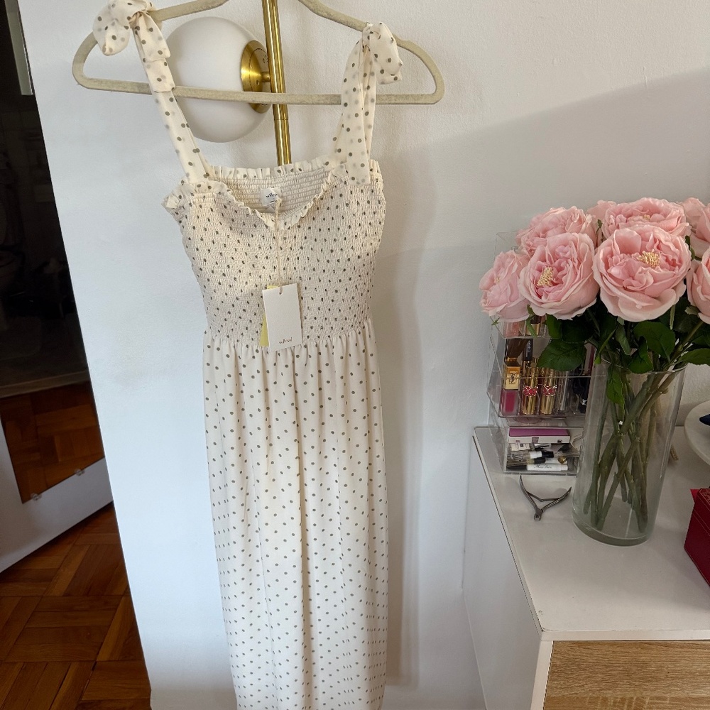 Aritzia polka dot dress